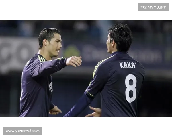 别里科夫地面战术失效贝尔加鲁伊防摔策略成功破解困局